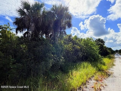 1921 Conkling Ave, Palm Bay, FL 32908 - photo 3