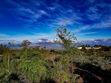 0 Haleakala Hwy unit B, Kula, HI 96790 - photo 3