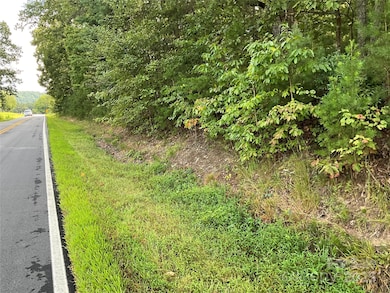 TBD D G Echerd Rd unit 2, Taylorsville, NC 28681 - photo 5