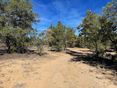 Davids Rock Rd, Ramah, NM 87321 - photo 6