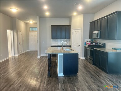 1127 Kiskadee Branch Dr, Temple, TX 76502 - photo 4