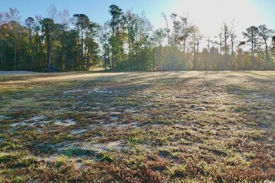 593 Loop Cir, Longs, SC 29568 - photo 6