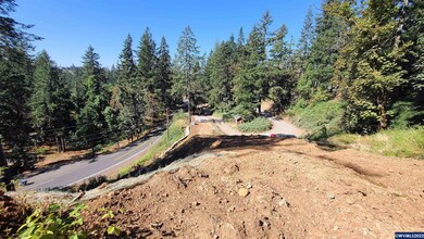 4125 Jackson Ln NE, Silverton, OR 97381 - photo 3