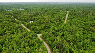 lot # 16 Laurel Loop, Monterey, TN 38574 - photo 3