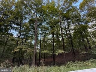0 Cubby Hole Lane - Lot 25 unit WVMO2006624, Berkeley Springs, WV 25411 - photo 2