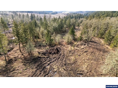 Lot 9th St, Harrisburg, OR 97446 - photo 5