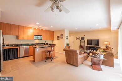 1002 Primrose Rd, Annapolis, MD 21403 - photo 3