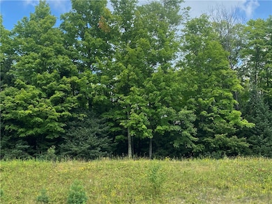 On Pixley Shores Rd, Fifield, WI 54524 - photo 7