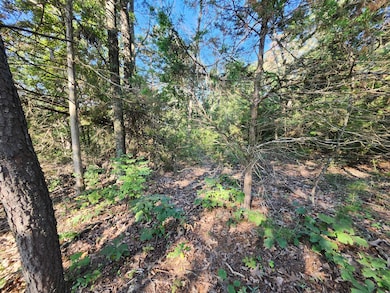 0 Mystic Mountain Blvd unit 24496664, Delray, WV 26714 - photo 4