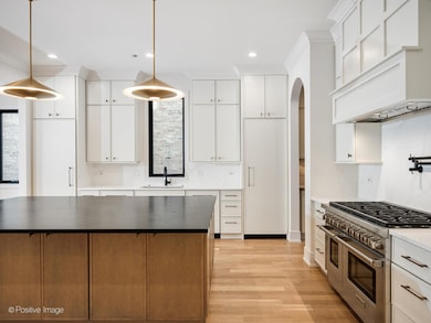 2214 W Oakdale Ave, Chicago, IL 60618 - photo 3