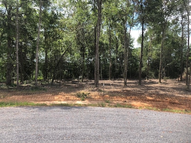 5.90ac Mill Creek Ln, Lucedale, MS 39452 - photo 7