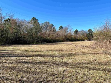 6027 Mount Olive Dr, Texarkana, AR 71854 - photo 3