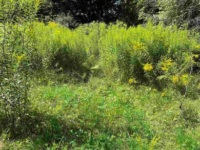 113 Speedwell Dr unit 5, Lyndonville, VT 05851 - photo 3