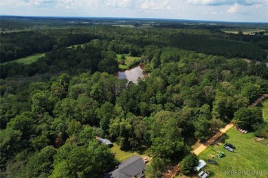 2217 Mcleod Rd, Goshen, AL 36035 - photo 3