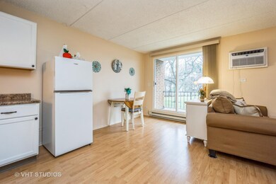 255 S West Ave unit 202, Elmhurst, IL 60126 - photo 7