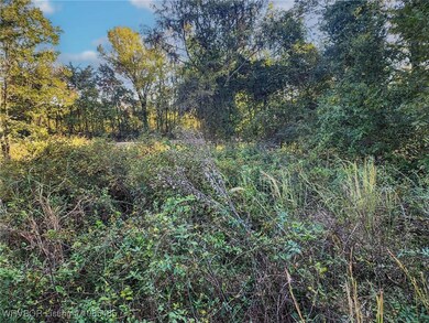 Tract 11 Orchard Ln, Spiro, OK 74959 - photo 2