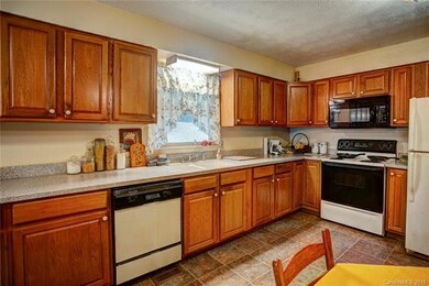 1013 Bear Creek Rd, Leicester, NC 28748 - photo 3