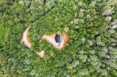 641 Bryant Farm Ln, Ellijay, GA 30540 - photo 7