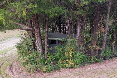 640 County Road 4910, Troup, TX 75789 - photo 4