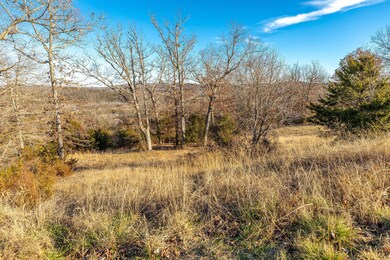 0 Mark Twain Dr, Saddlebrooke, MO 65630 - photo 6