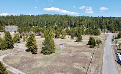 14 Smiths Ferry Dr unit 61, Parcel 2, Cascade, ID 83611 - photo 5