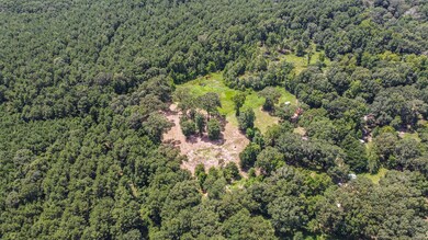 21694 Davis Rd, Splendora, TX 77372 - photo 6