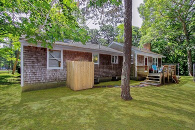 Virtual green grass back