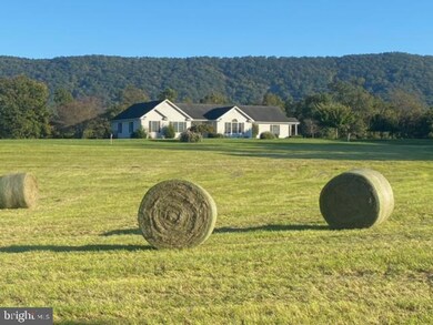 2800 Riverview Dr, Toms Brook, VA 22660 - photo 3