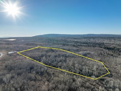 0 Cornerstone Trail unit Lot 2, Montrose, CO 81403 - photo 7