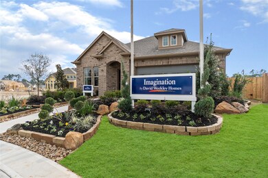 25466 Fossa Dr, Tomball, TX 77375 - photo 5