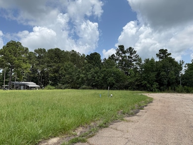 0 Bellewood Park, Columbia, MS 39429 - photo 6