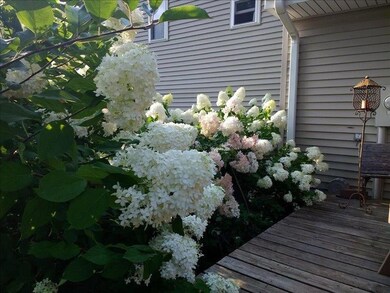 1482 Laurel Cir, Cedar Falls, IA 50613 - photo 3