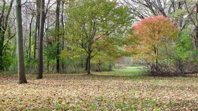 IMG_0589