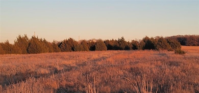 View of nature at dusk