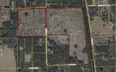 TBD Hawaca Dr, McAlpin, FL 32062 - photo 4