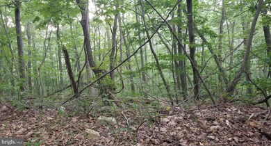 0 Unknown unit VASH119914, New Market, VA 22844 - photo 2