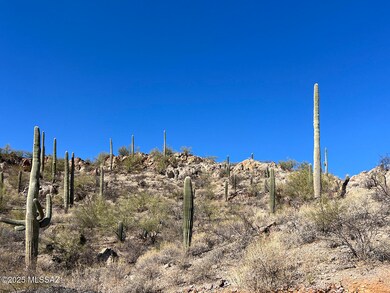 3635 W Placita de La Tierra, Tucson, AZ 85746 - photo 7