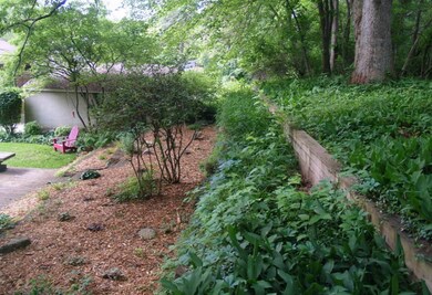 Back Area