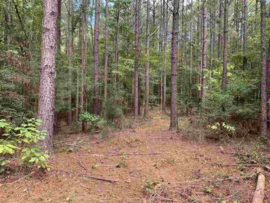 001 Pilgrim Rest Dr, Brandon, MS 39042 - photo 3