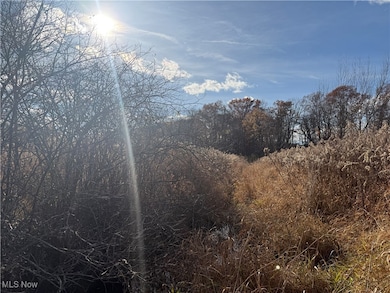 5089 Bayard Rd, Homeworth, OH 44634 - photo 6