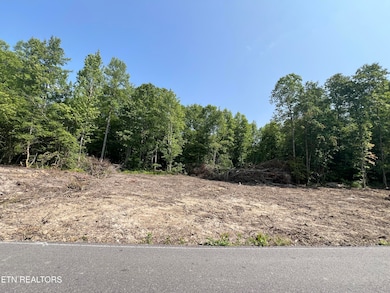 0 Ditney Trail unit 3 1303567, Pioneer, TN 37847 - photo 3