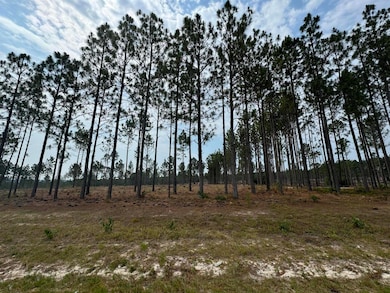 0/Lot6 Cooks Bridge Rd, Aiken, SC 29805 - photo 2