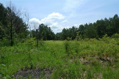 30228 Woodrow Magee Rd, Franklinton, LA 70438 - photo 2