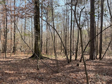 TBD Girlinghouse Rd, Jena, LA 71342 - photo 2