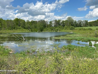 103 Franklin Bellinger Rd, Seward, NY 13459 - photo 4