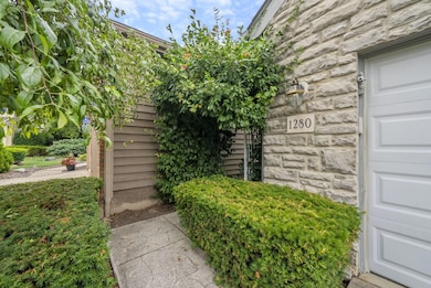 65-web-or-mls-DSC09511