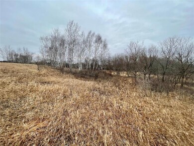 XXX 85th Avenue Ave, Dresser, WI 54009 - photo 3