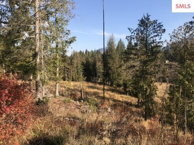 NKA Audrey Ln, Sagle, ID 83860 - photo 4