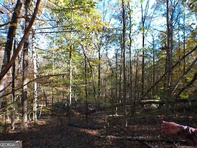 0 Dusty Rd unit 10569563, Bowman, GA 30624 - photo 3