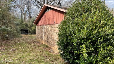 IMG_2397